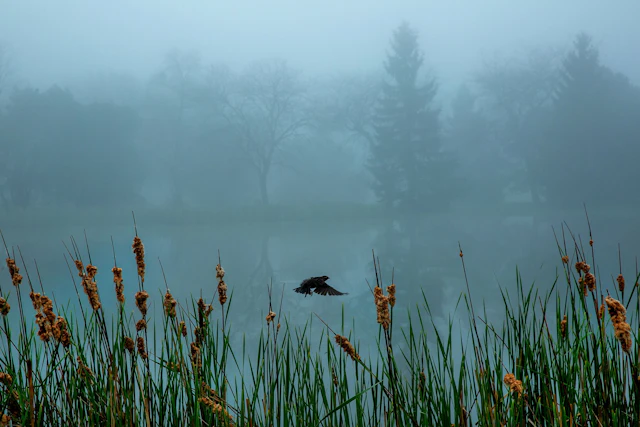 Milwaukee Lake 3 - Michael Filonow