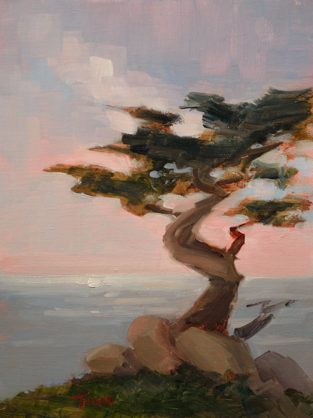 Cypress Crescendo - Timon Sloane