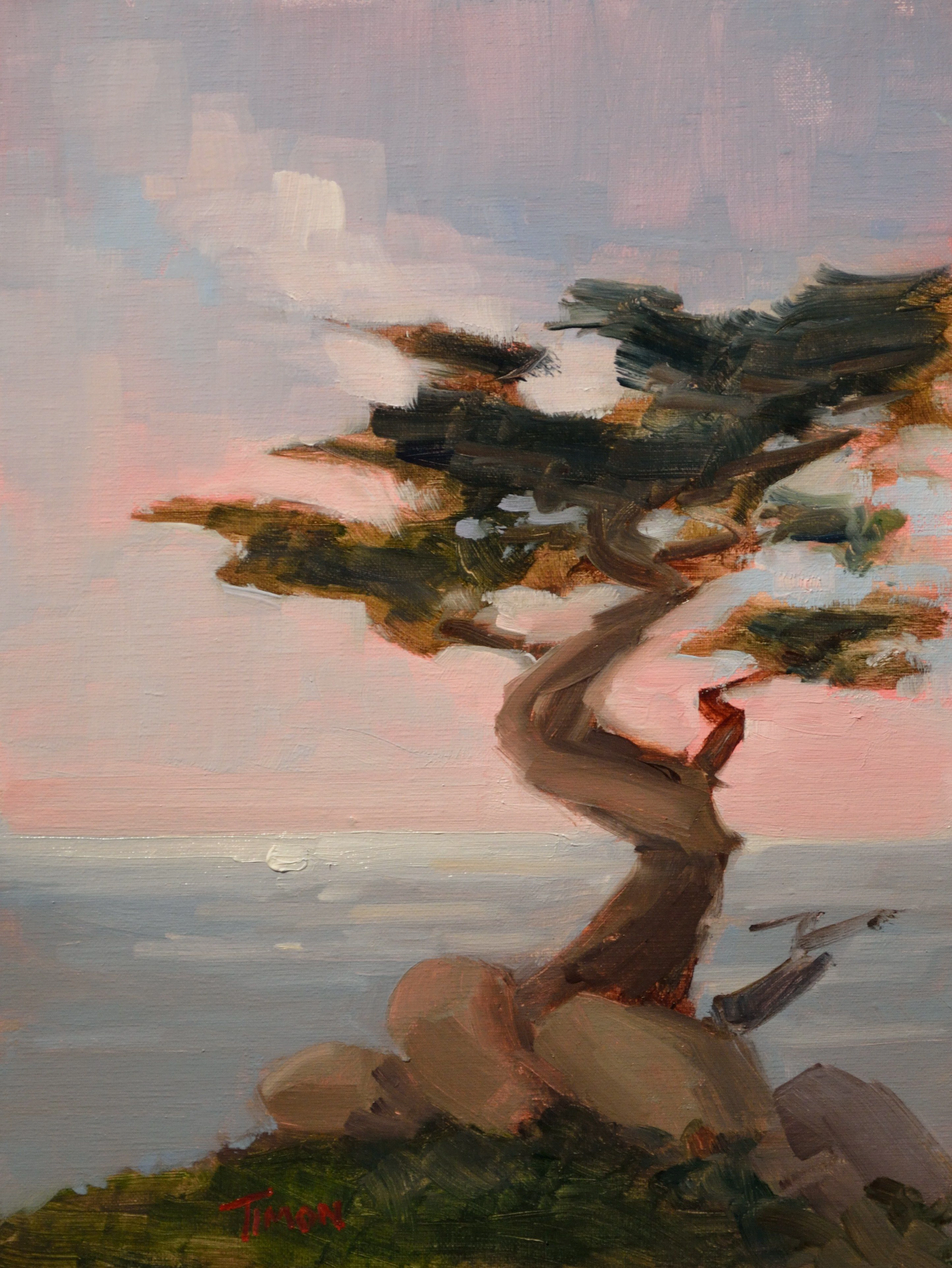 Cypress Crescendo - Timon Sloane