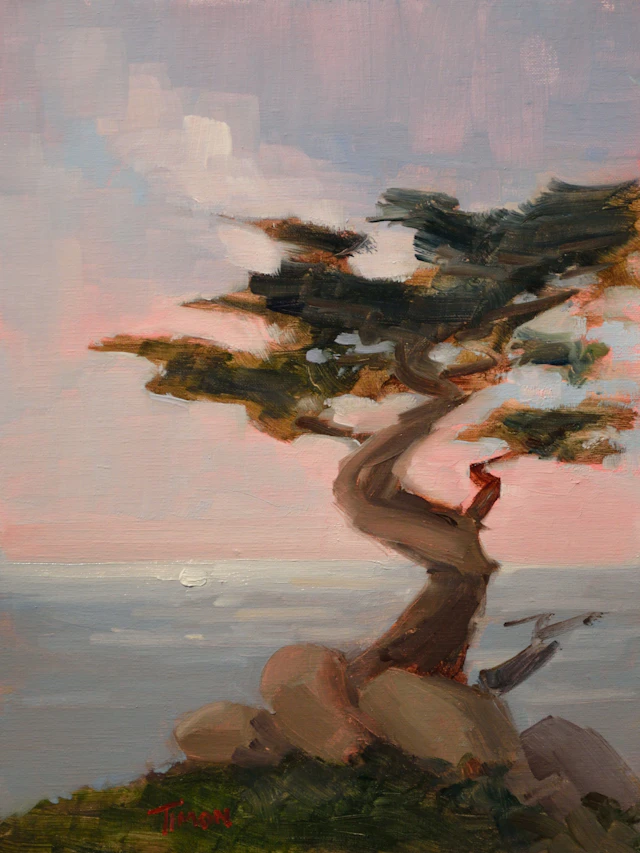 Cypress Crescendo - Timon Sloane