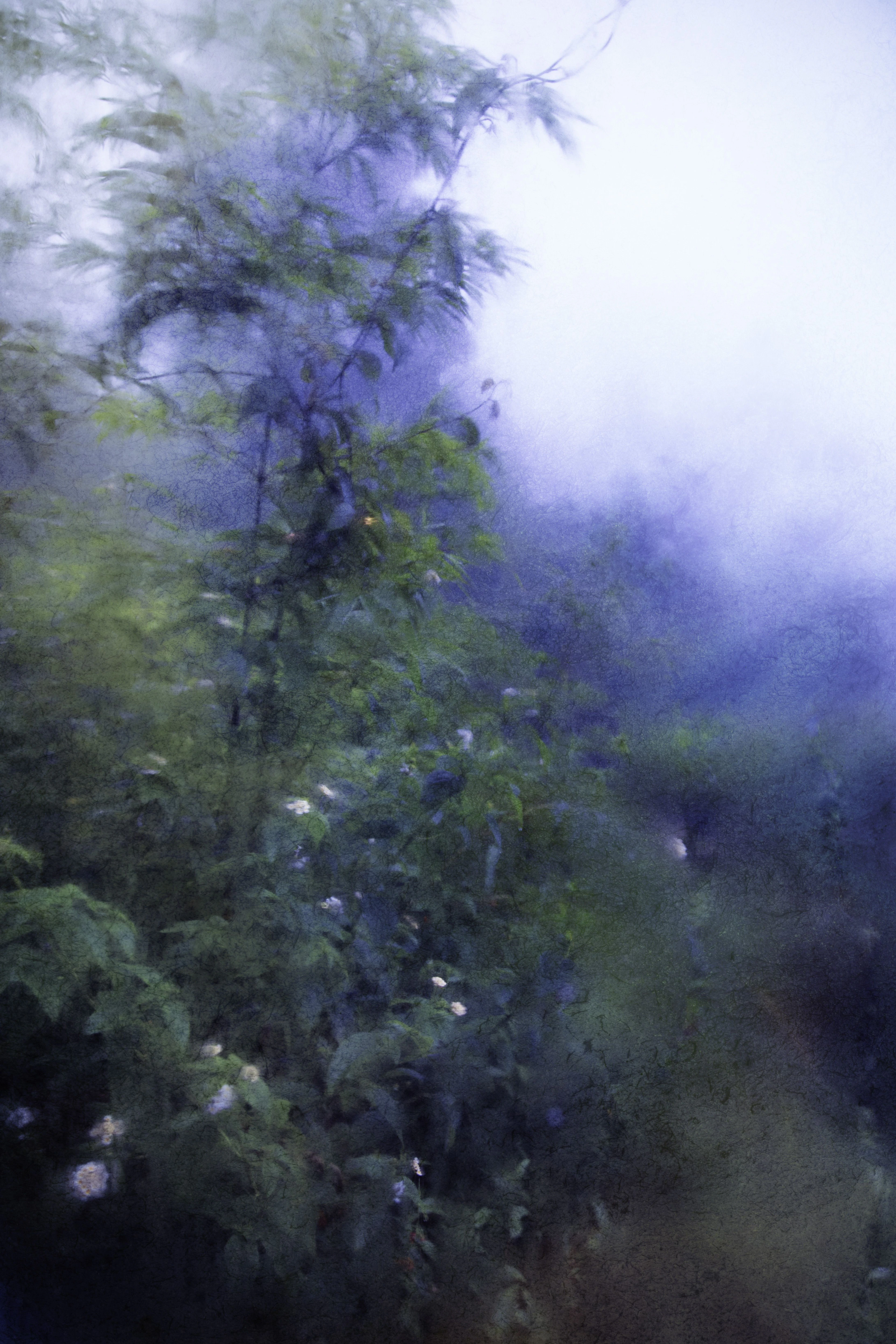 Colors of the rain III - Viet Ha Tran