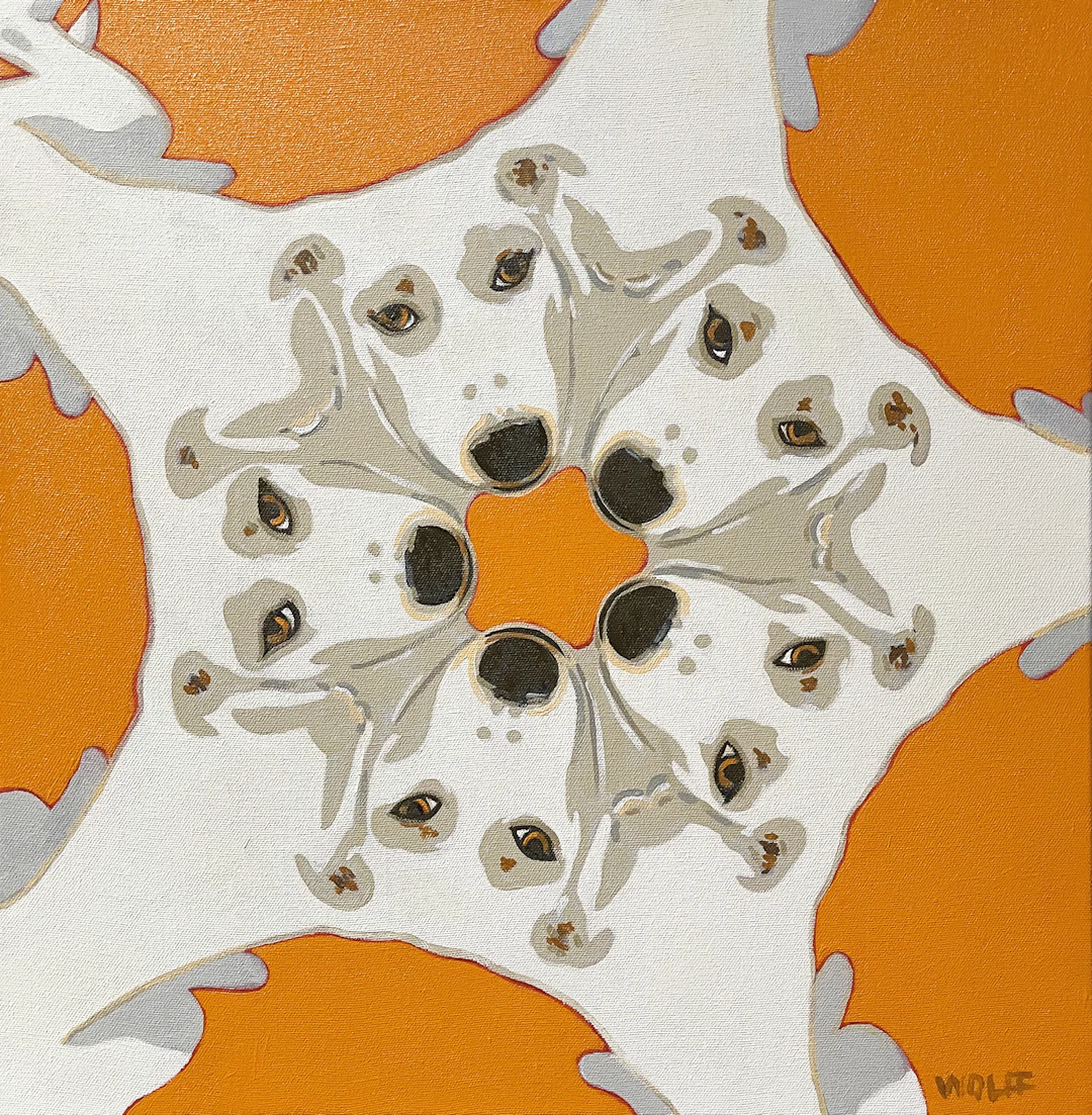 Dog Is Watching You - Dwayne Wolff