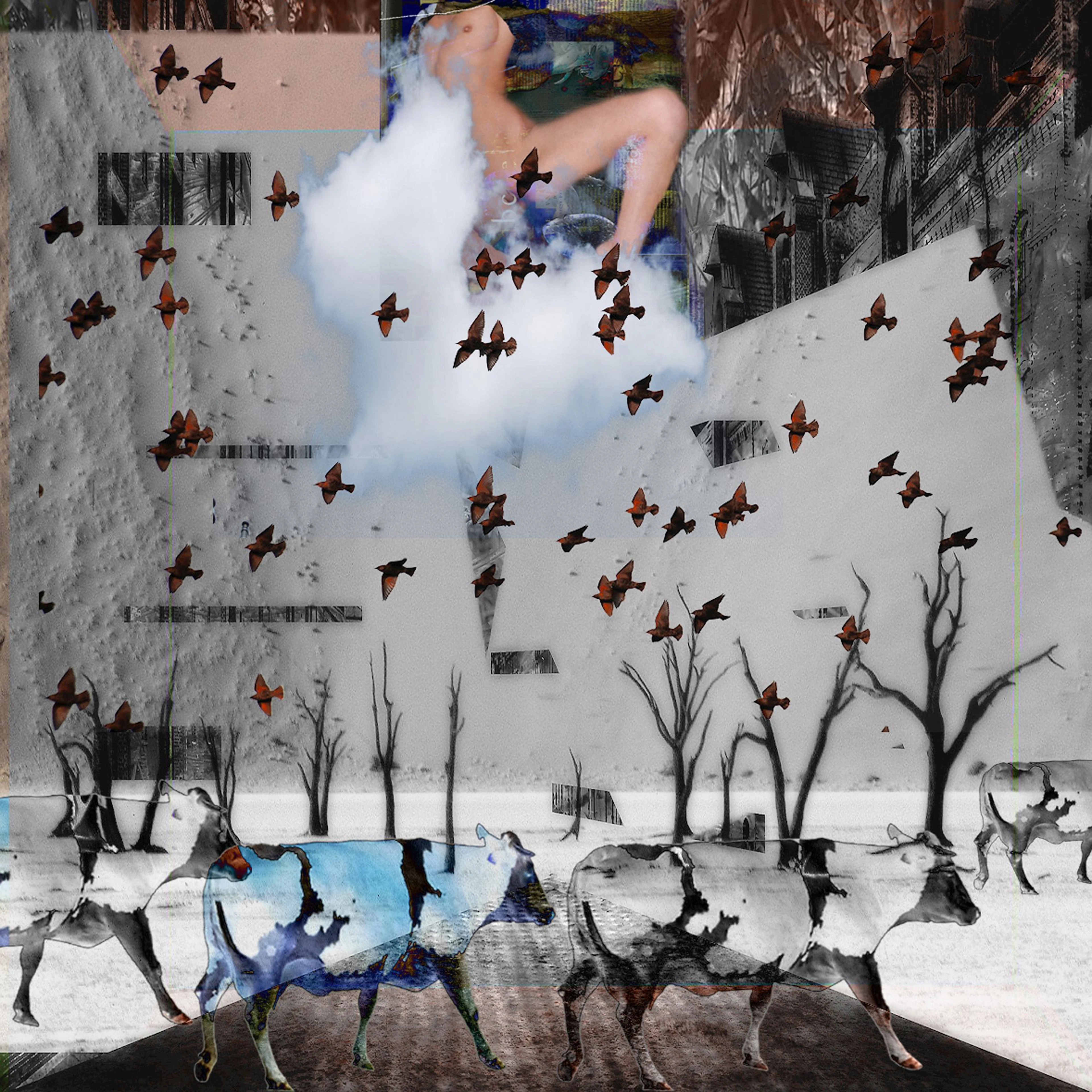 Adapted culture 11 - geert lemmers