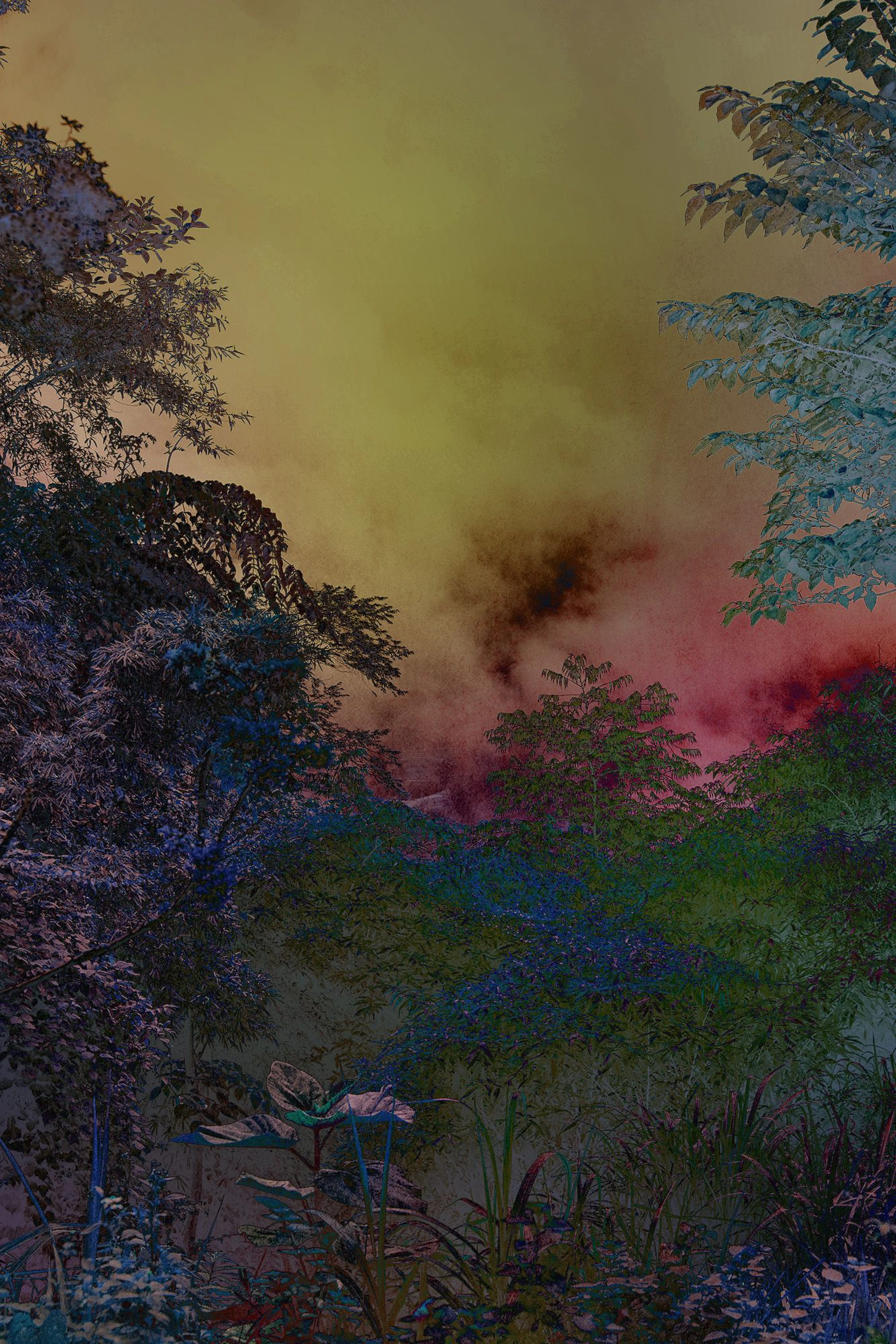 Shades of Dreams VI - Viet Ha Tran