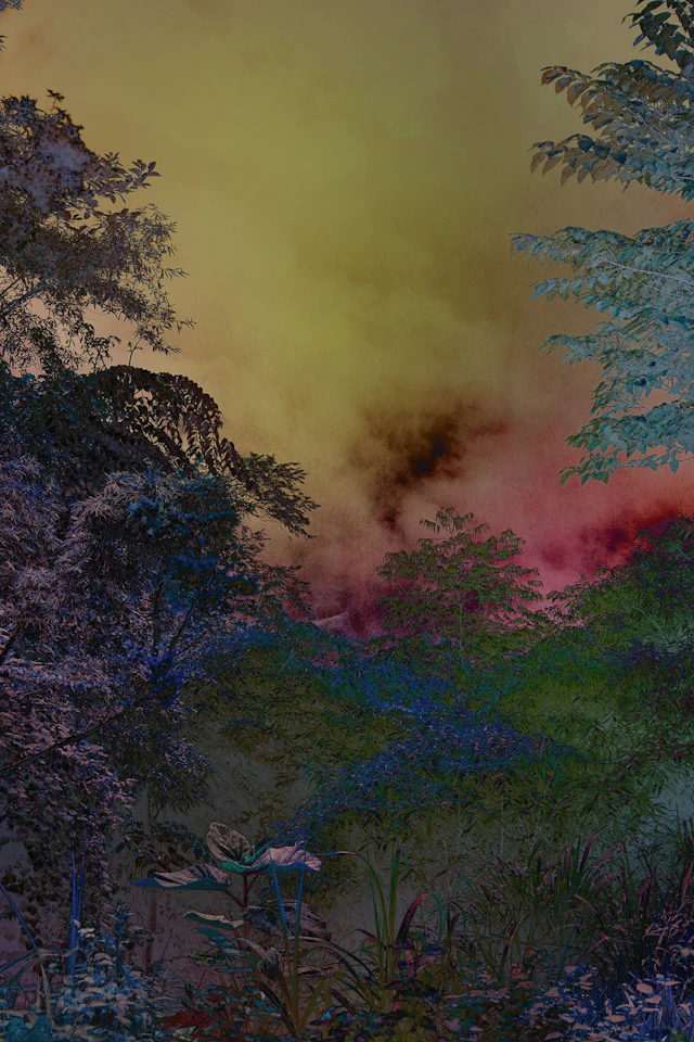 Shades of Dreams VI - Viet Ha Tran