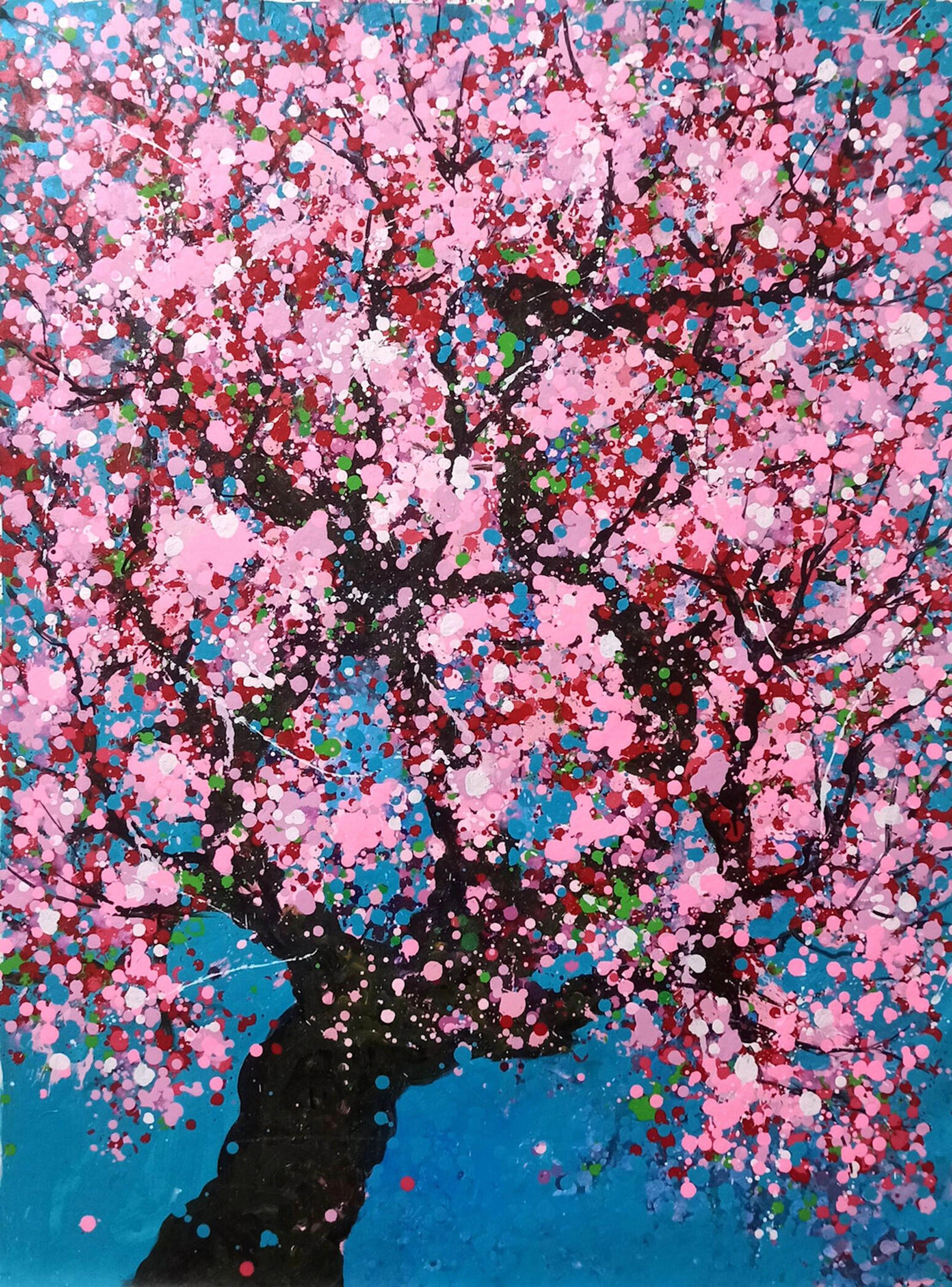 SAKURA - Cherry blossom - Hoang Phuong