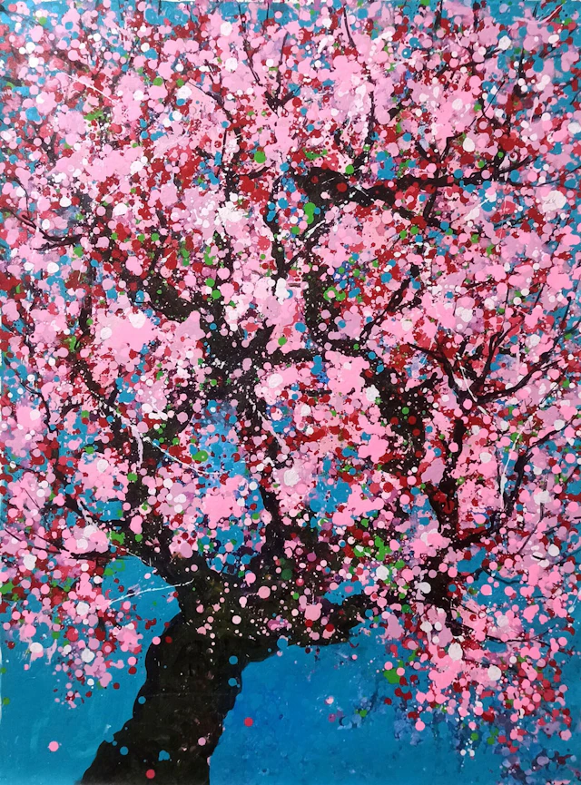 SAKURA - Cherry blossom - Hoang Phuong