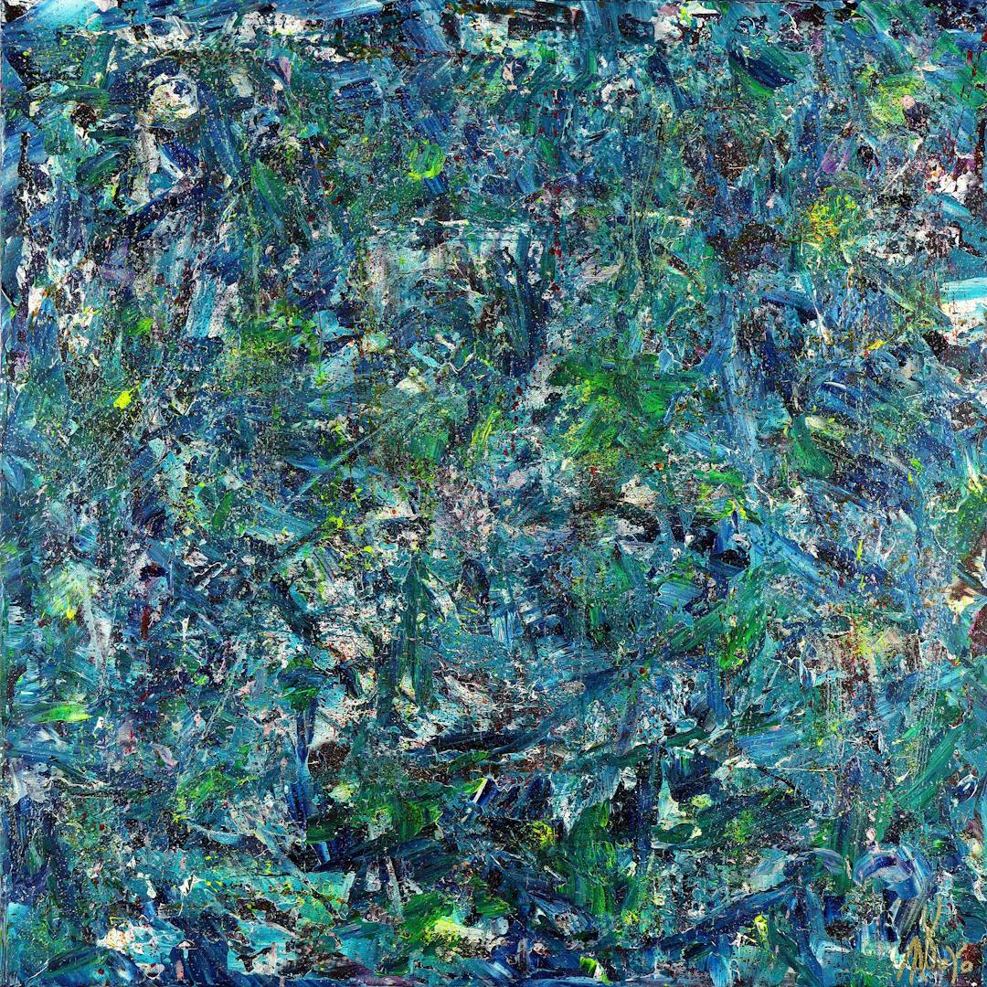 Fast Nature (nighttime motion) - Nestor Toro