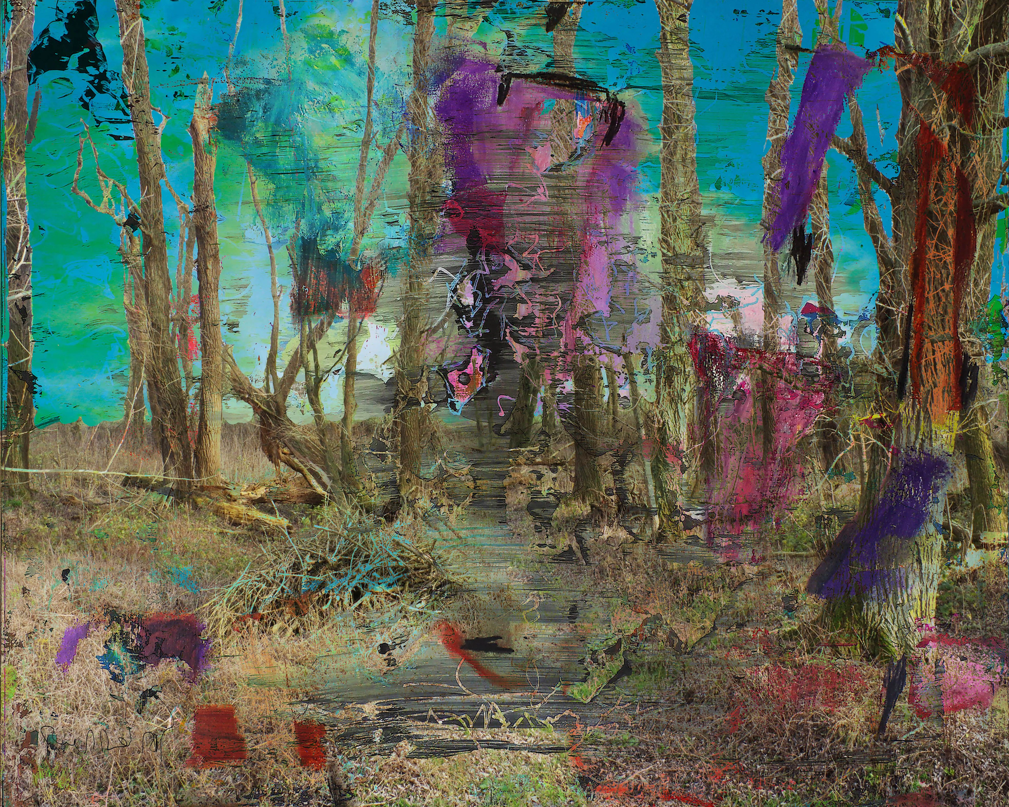 Abstract nature opus 35 - geert lemmers