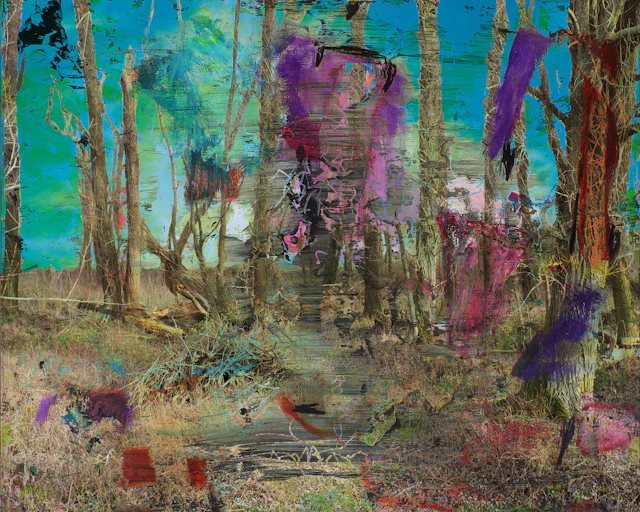 Abstract nature opus 35 - geert lemmers