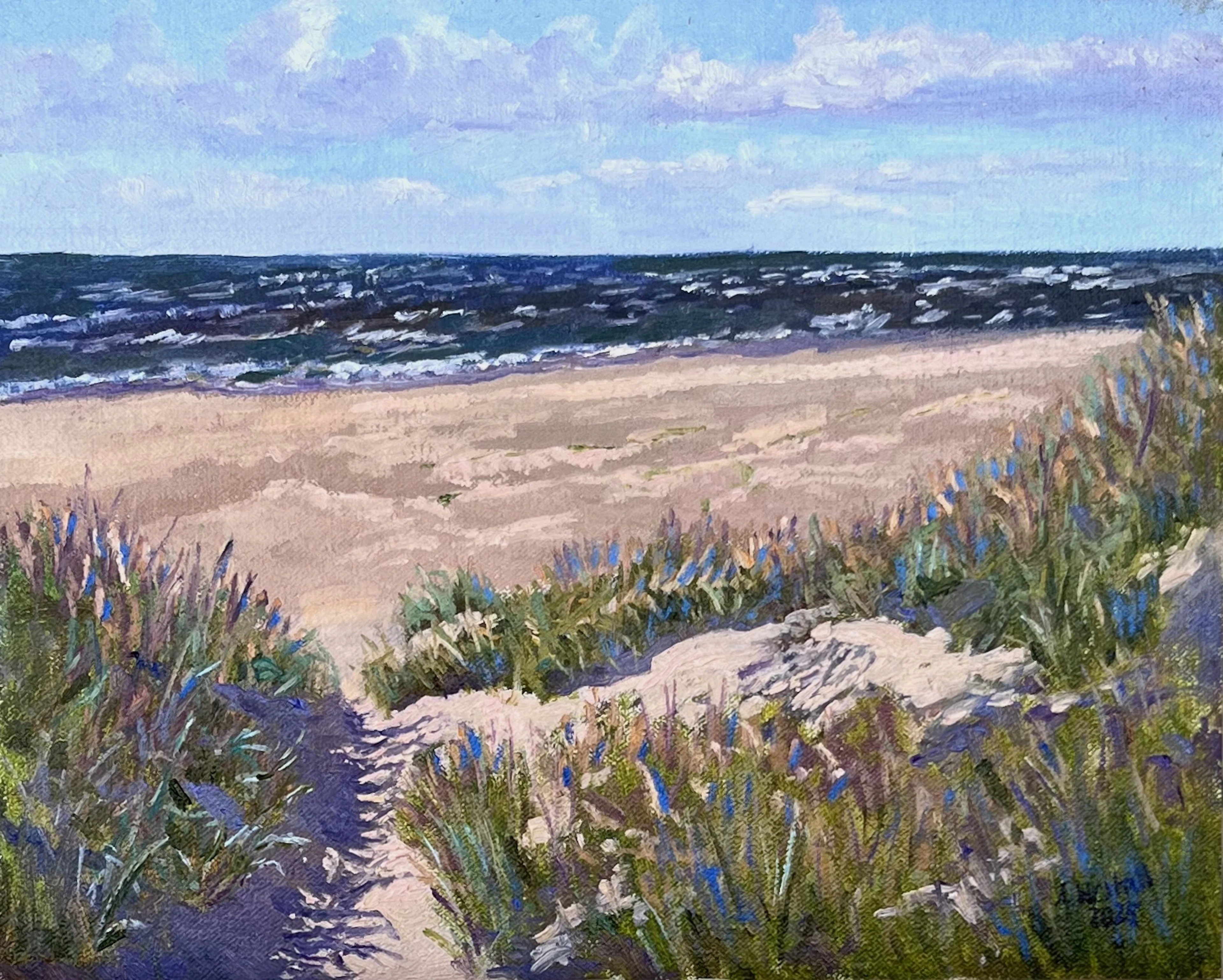 Light and shadow in the Blåvand dunes - Gary Westall