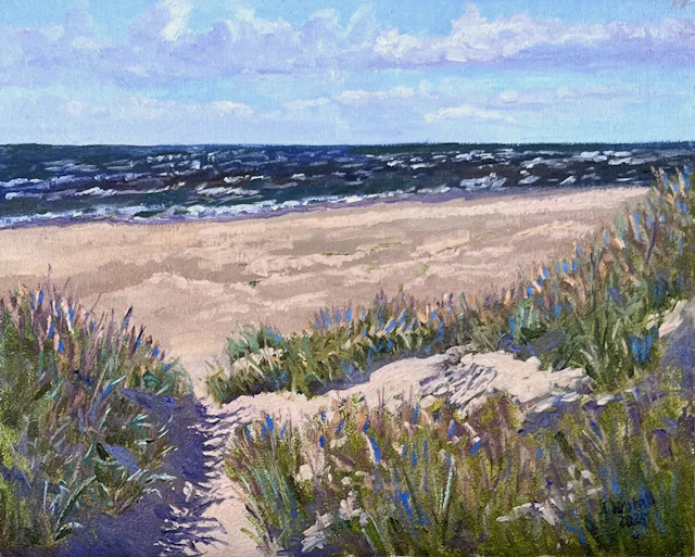 Light and shadow in the Blåvand dunes - Gary Westall