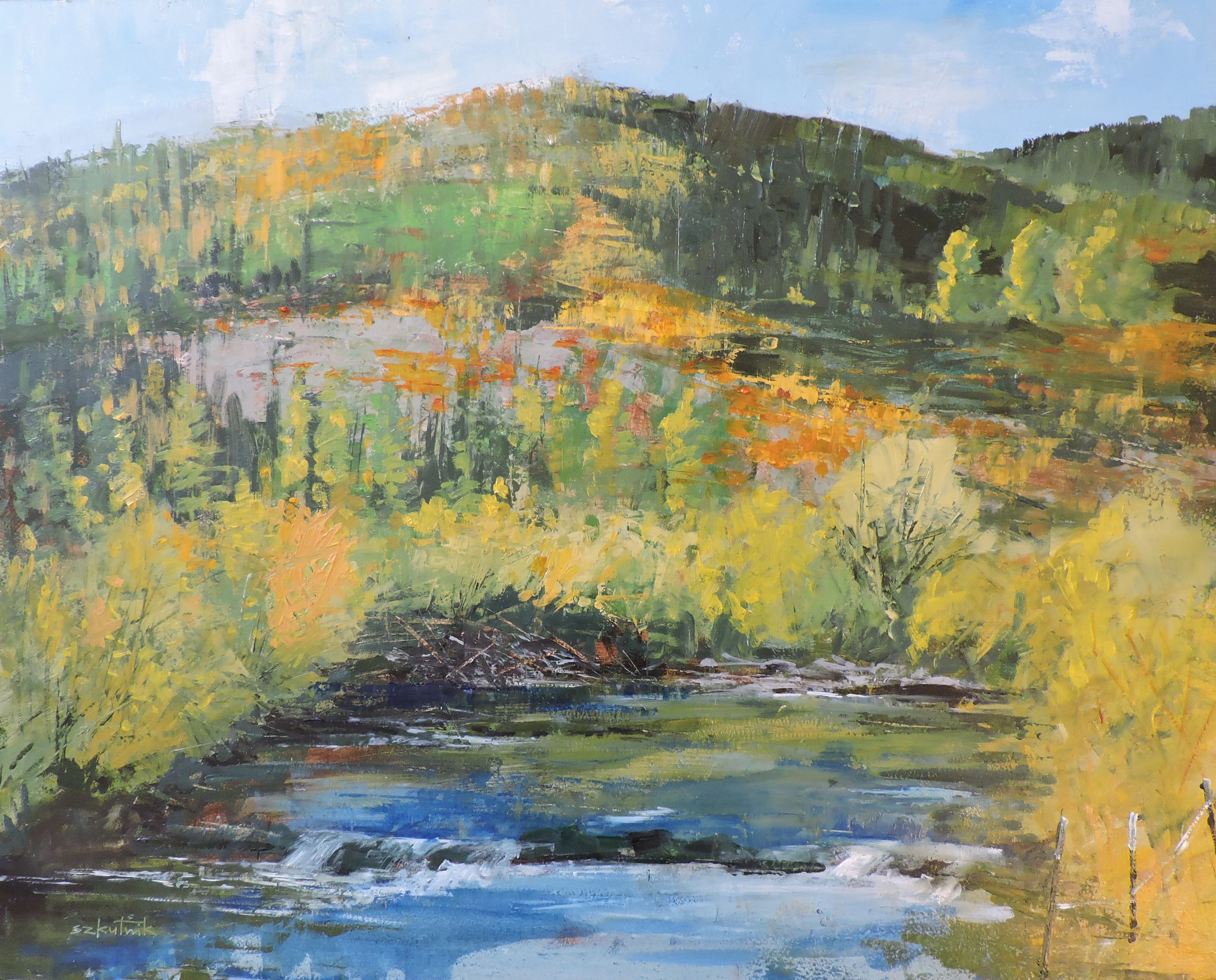 Beaver Pond - Richard Szkutnik