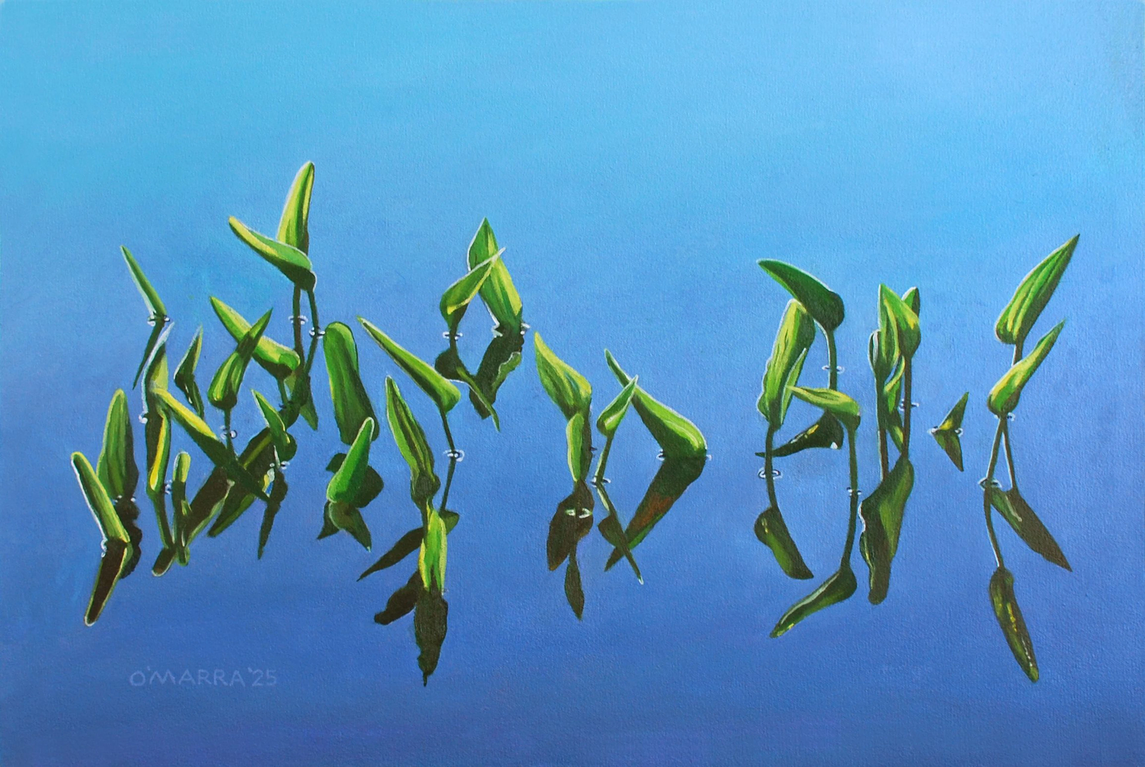 Pickerel Weed Congregation - Allan O'Marra
