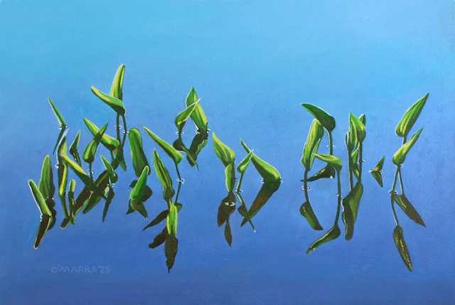 Pickerel Weed Congregation - Allan O'Marra