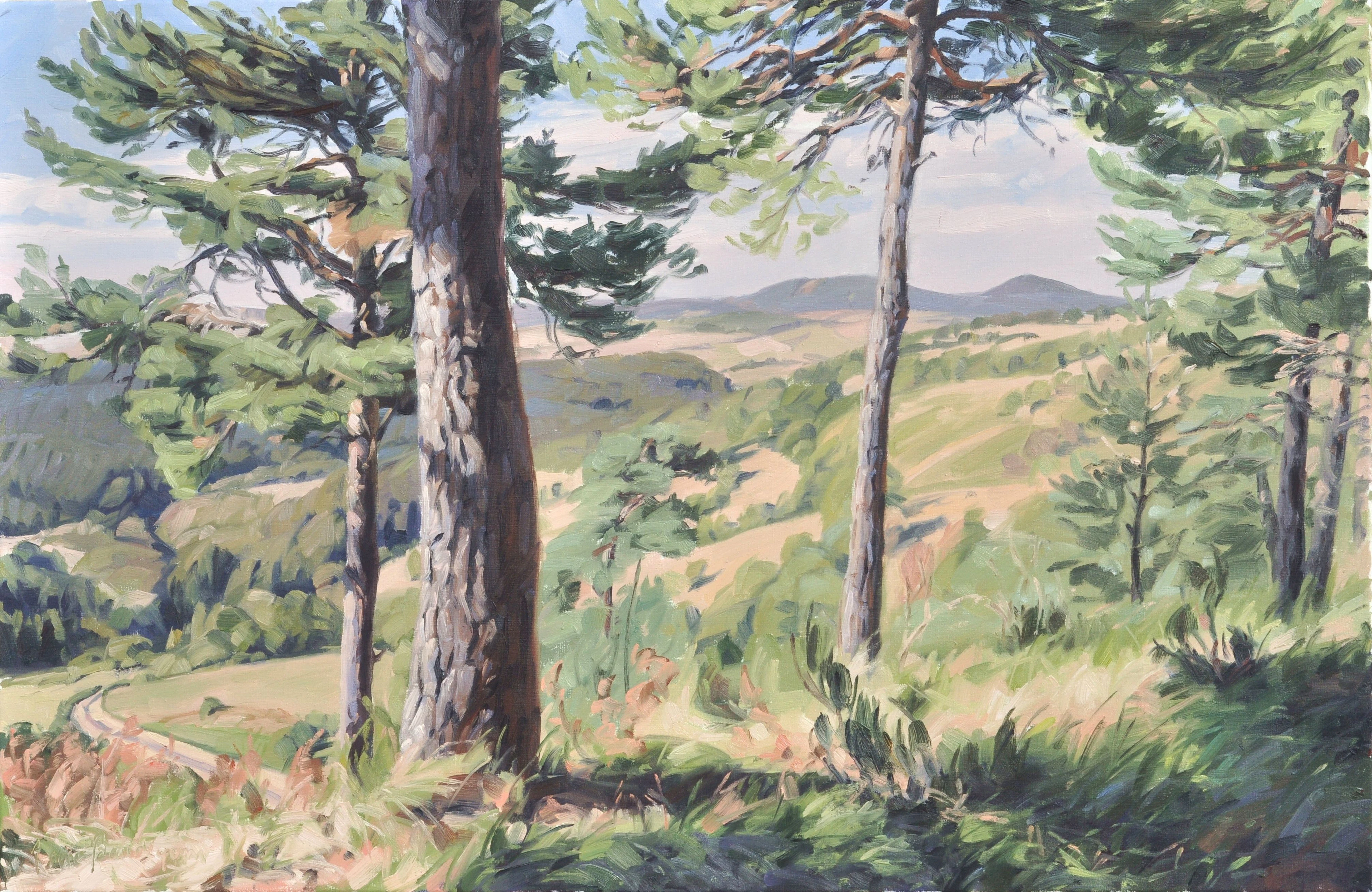 Mézenc Late Summer - Anne Baudequin