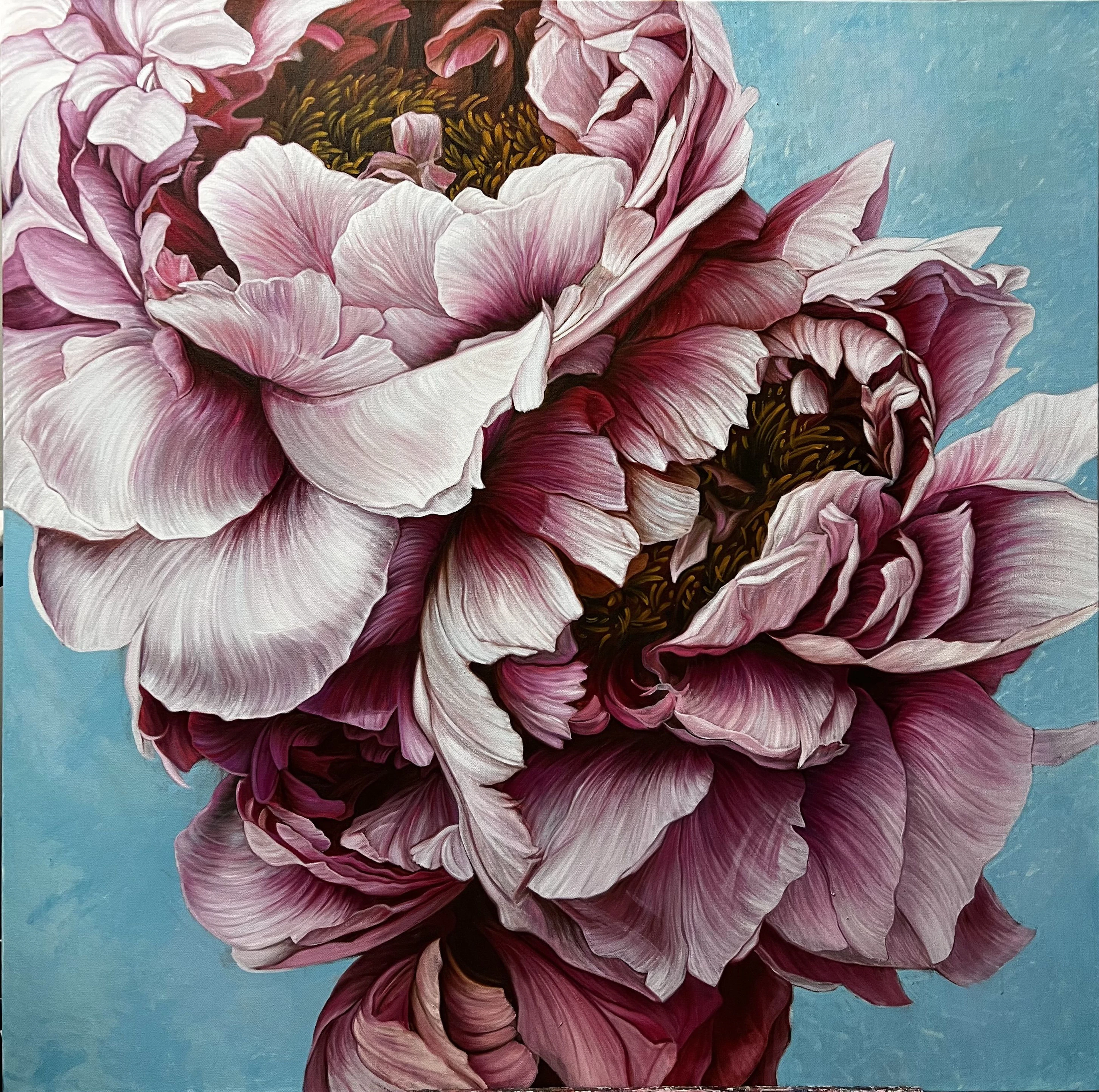 A pair of peonies on an airy background - Elena Podmarkova