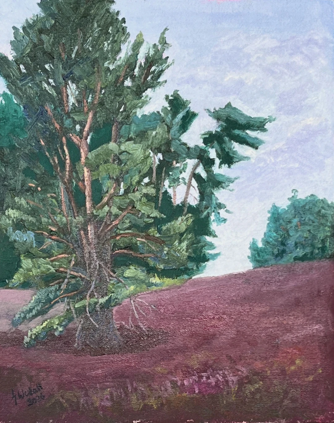 Pine Tree in the Heath - Gary Westall