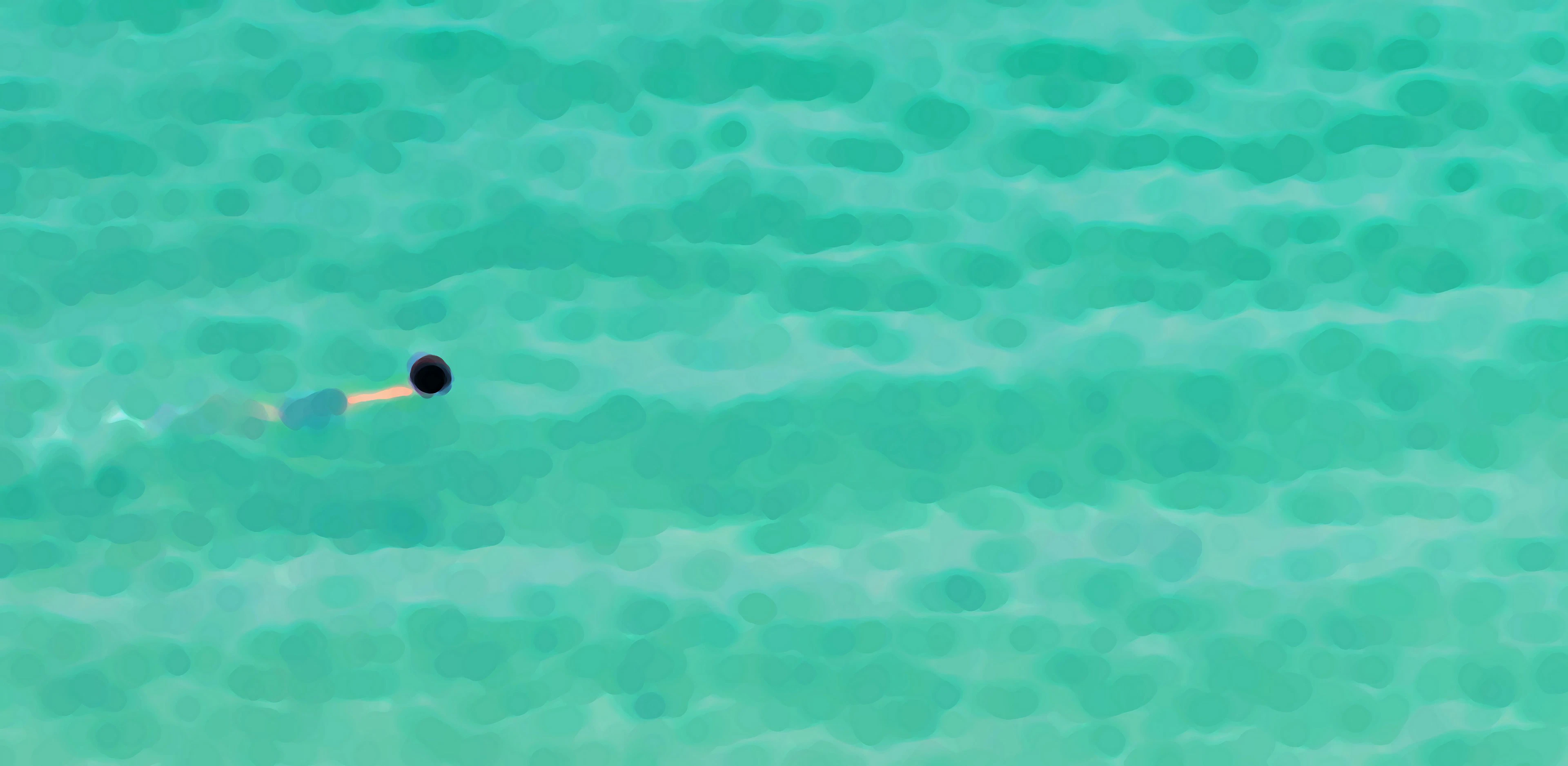 The swimmer - Furio Torracchi