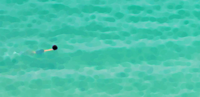 The swimmer - Furio Torracchi