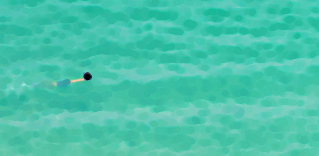 The swimmer - Furio Torracchi