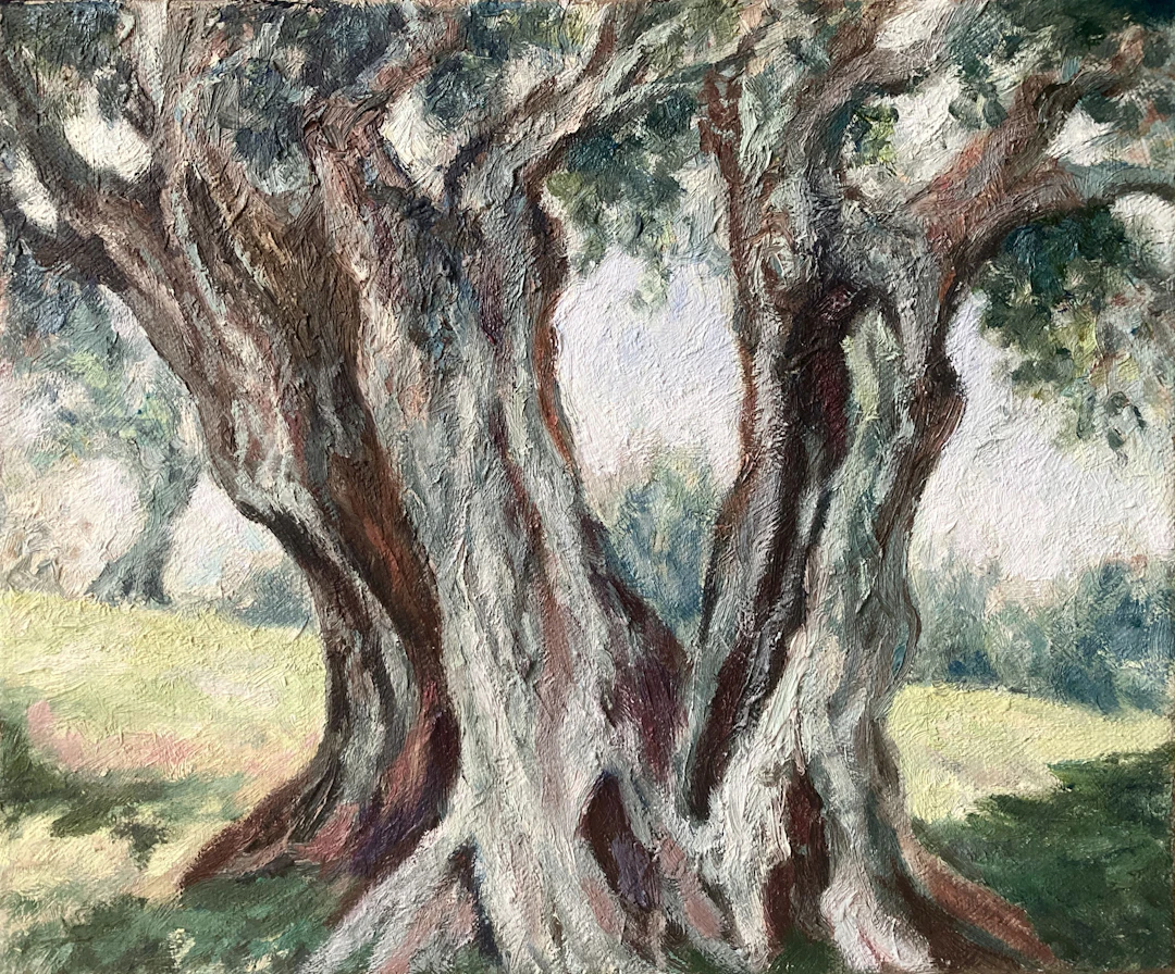 Olive Trees - Felicia Trales