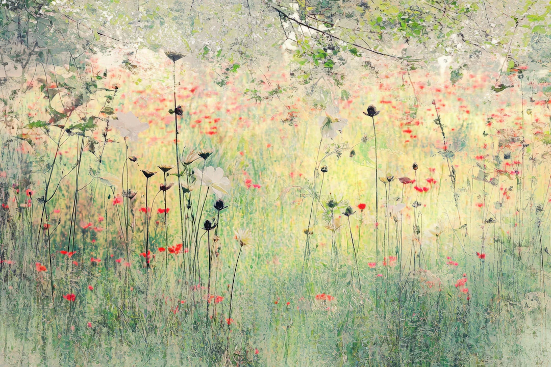 Enchanted Garden XII - Viet Ha Tran