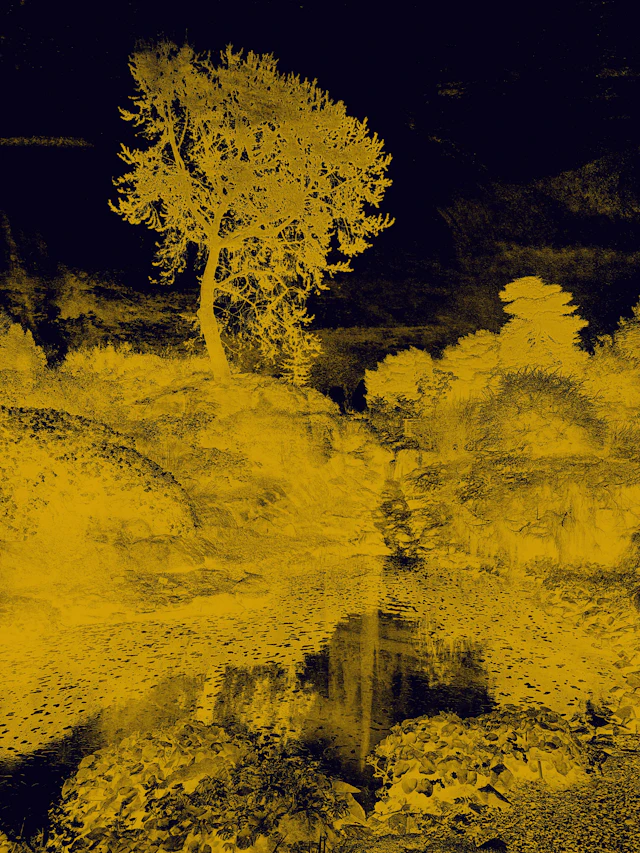 Echoes in Gold III - Viet Ha Tran