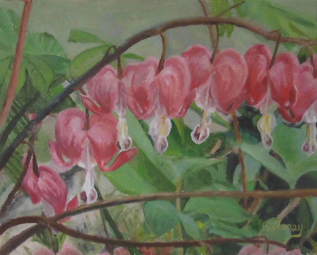 Bleeding Hearts - Tom FUREY