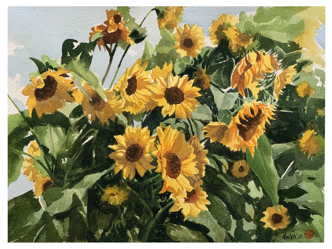 Sunny Day- Sunflowers - Helal Uddin