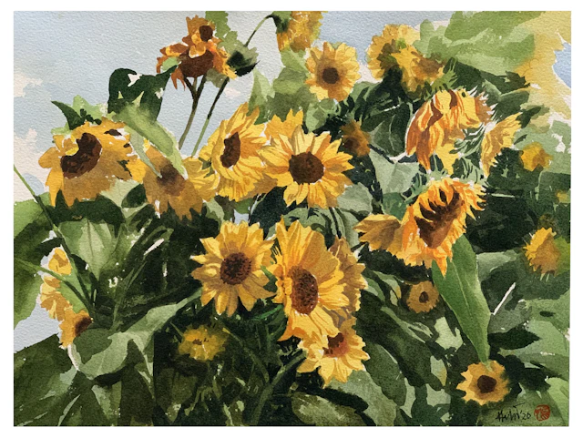 Sunny Day- Sunflowers - Helal Uddin