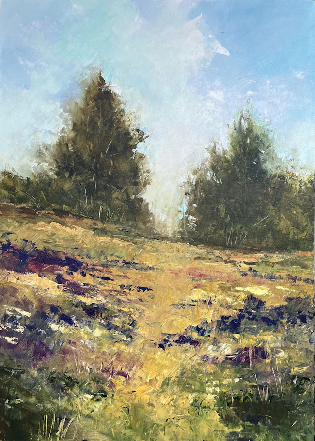 Hill Country - Filomena Booth