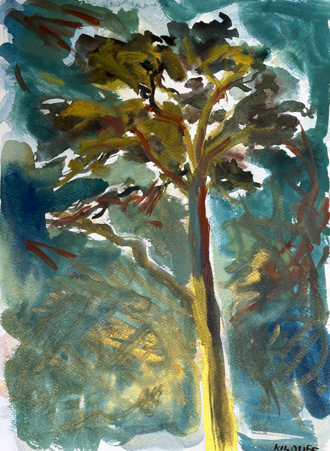 Monterrey Pine Ventura California #3 - John Kilduff