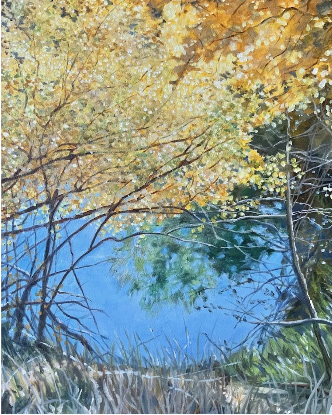 Aspens Along Estes Lake - Leslie White