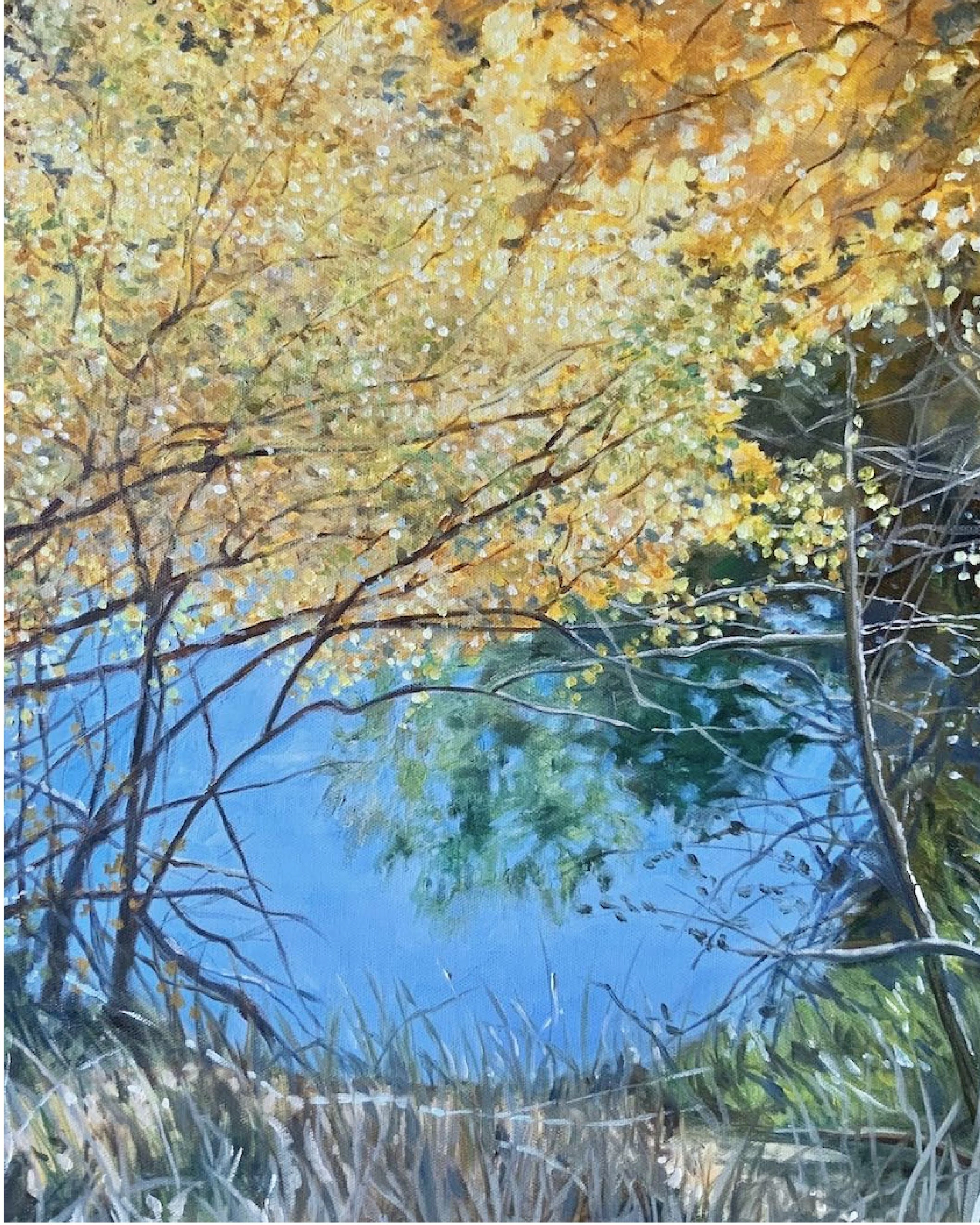 Aspens Along Estes Lake - Leslie White