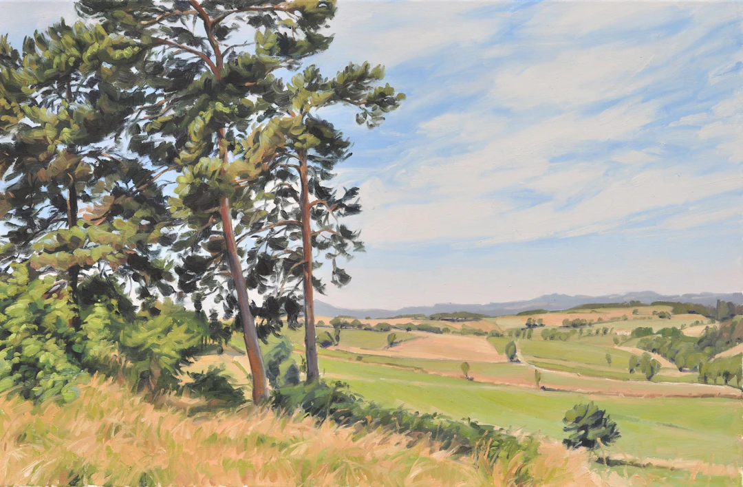 June 24 summer light Velay Mountains - Anne Baudequin