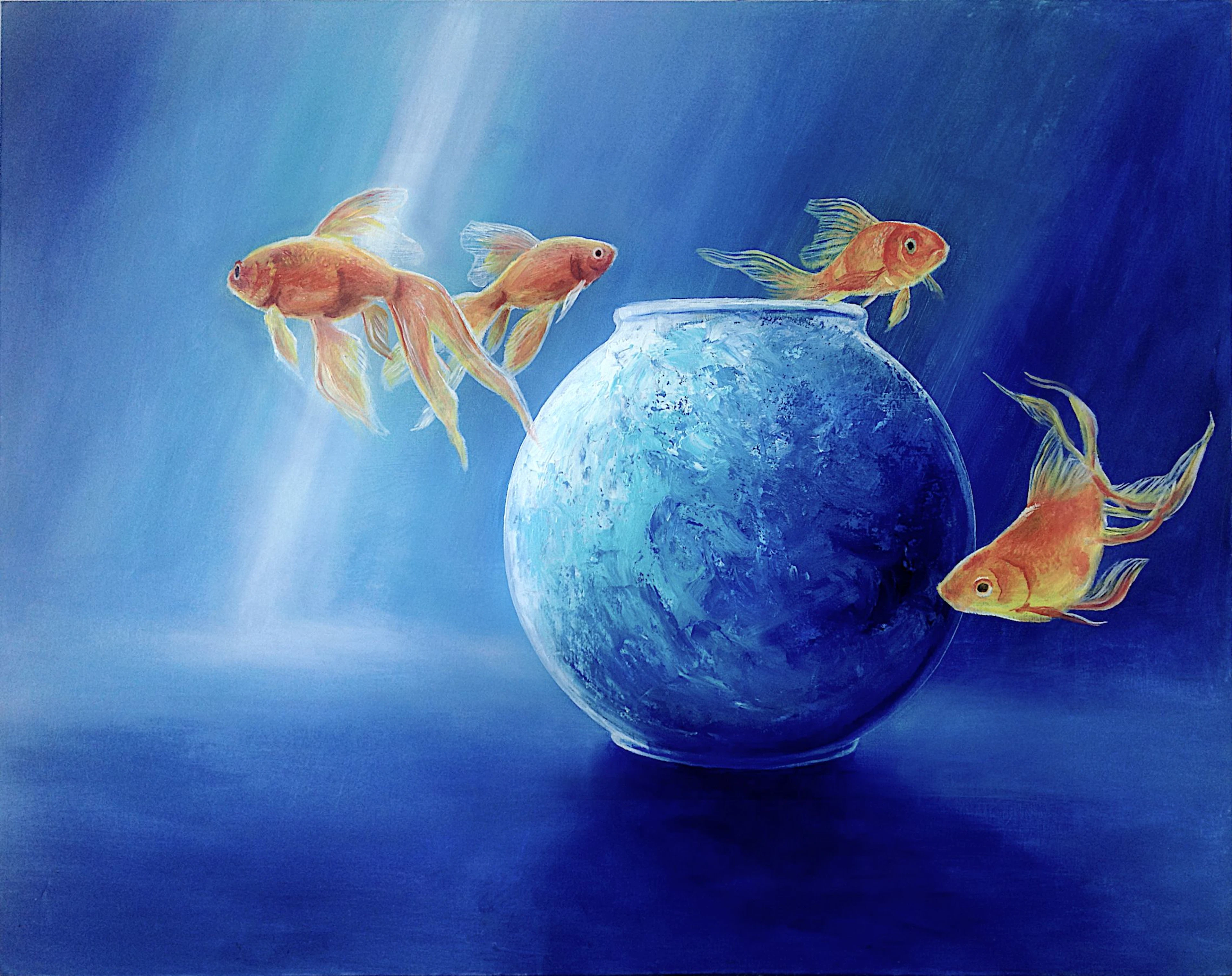 Goldfish XLIII - Daniel Loveday