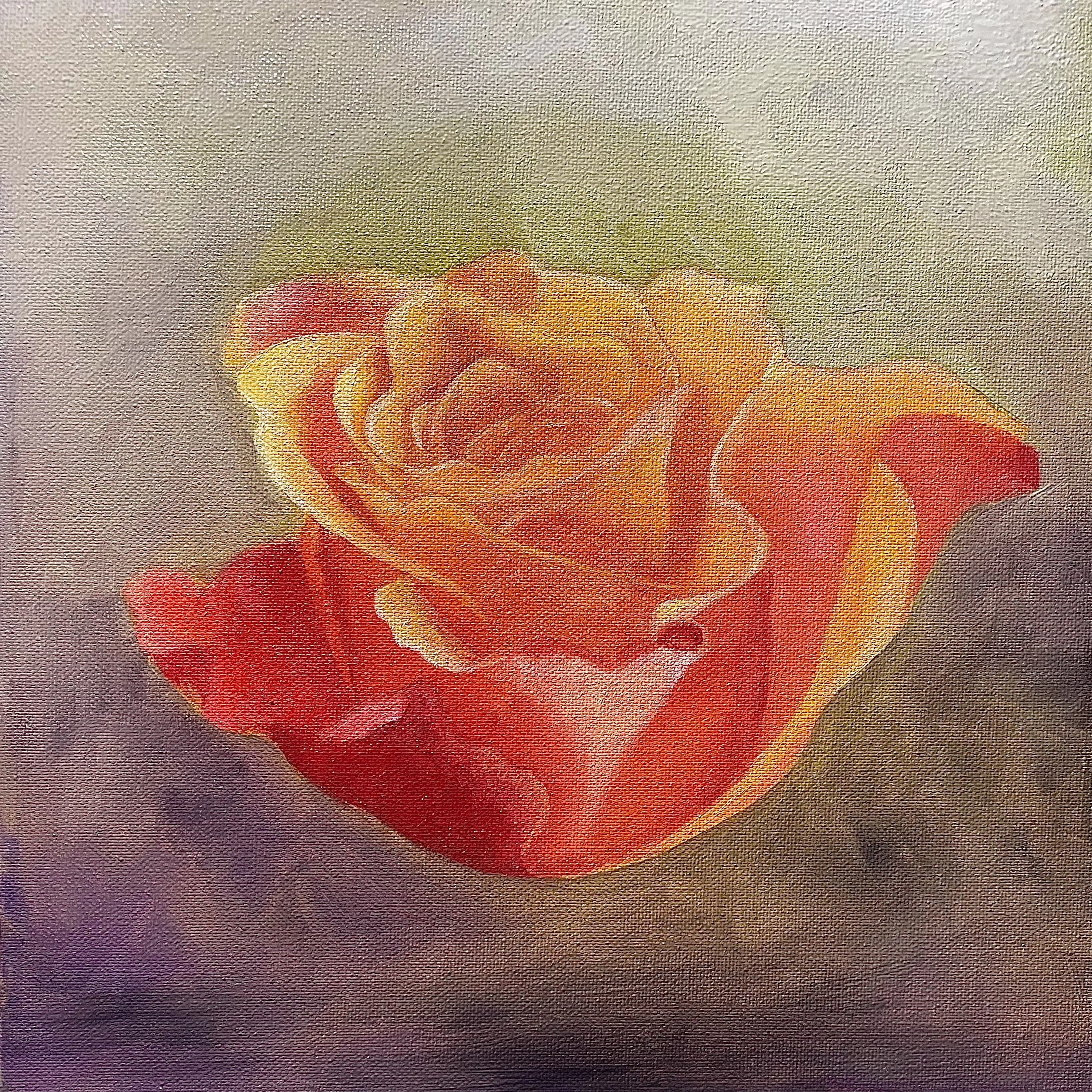 Rose - Eva Hoffmann