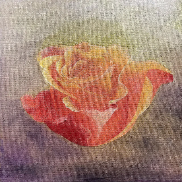 Rose - Eva Hoffmann