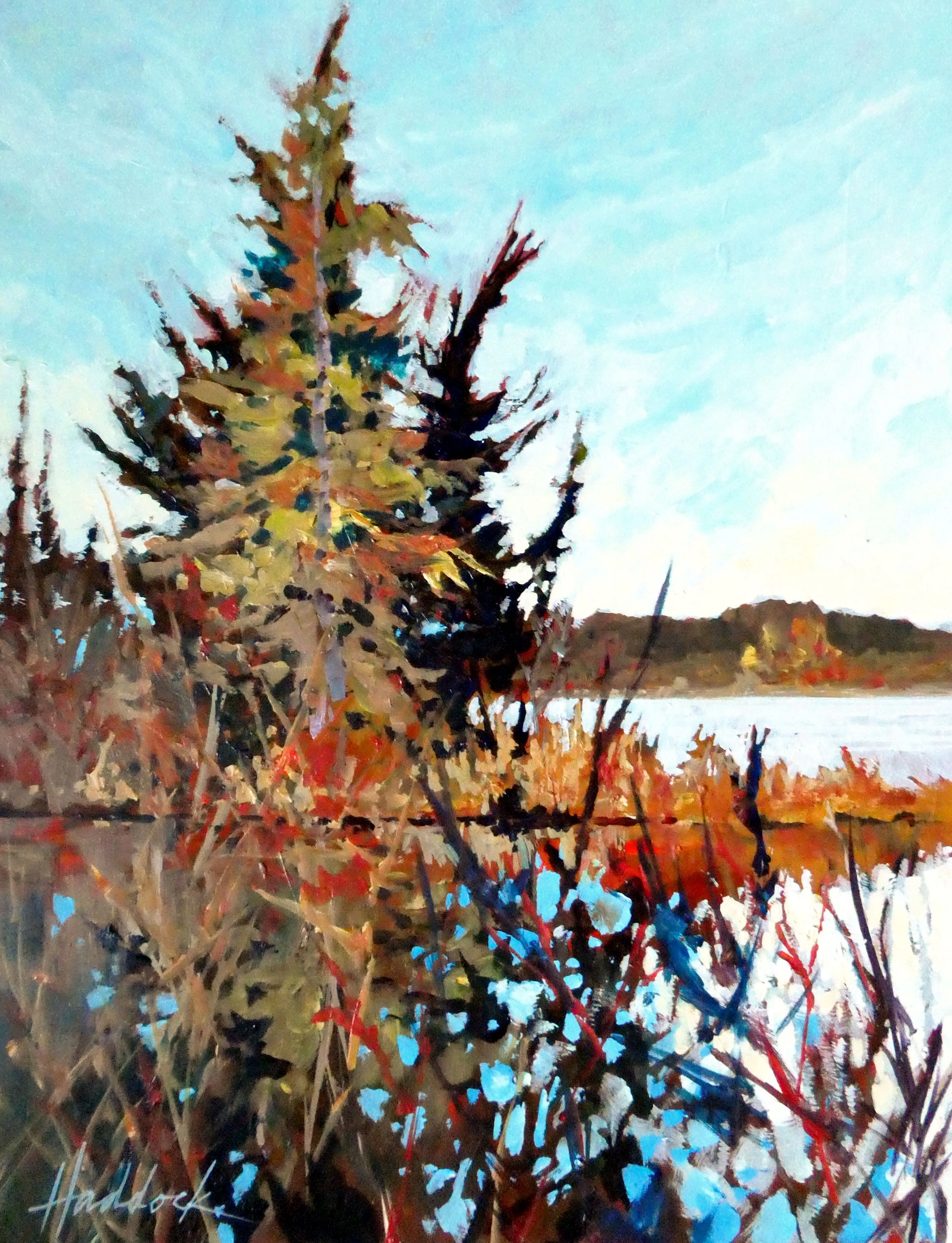 Brushfire Serenity - Perry Haddock