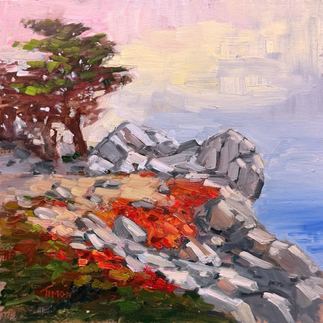 Carmel Bluff - Timon Sloane