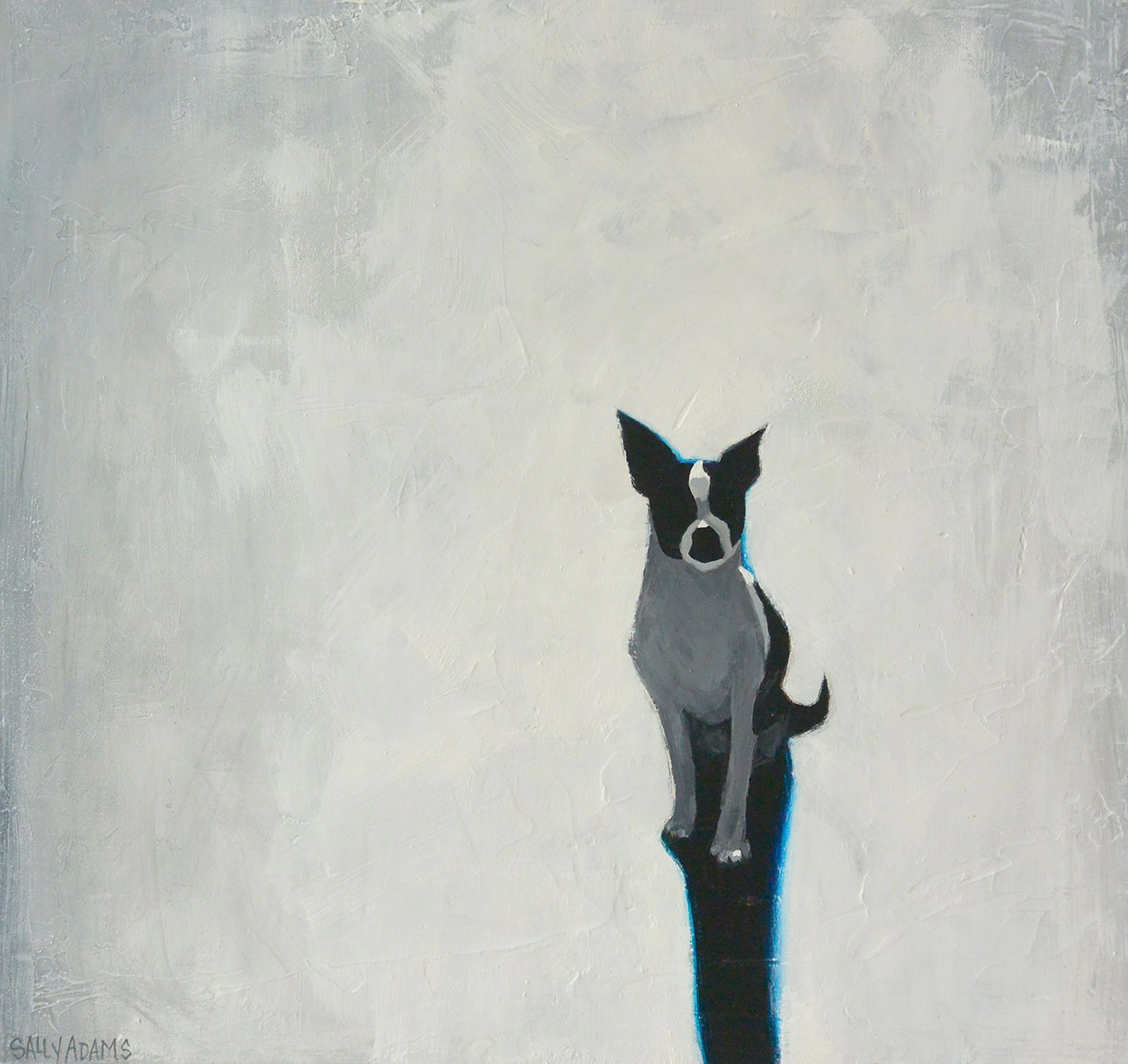 Shadow - Sally Adams