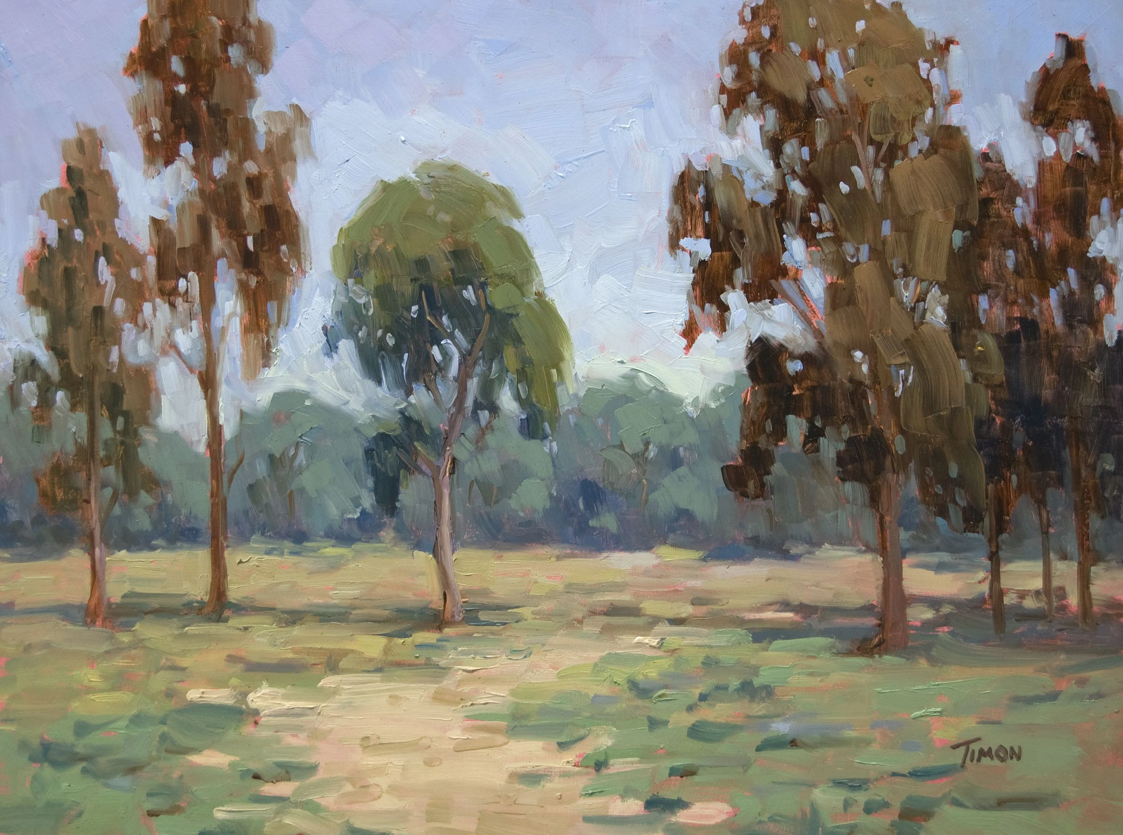 Overture to the Eucalyptus - Timon Sloane