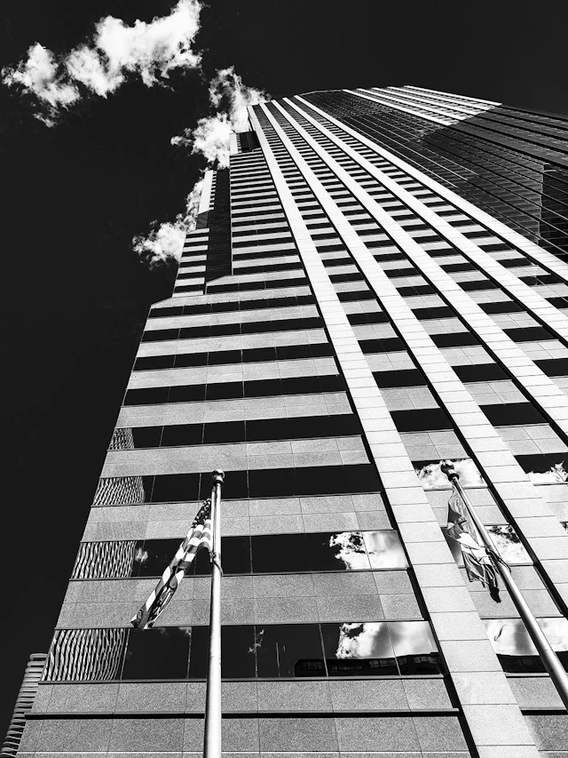 TWO FLAGS EAST NOIR Chicago IL - William Dey