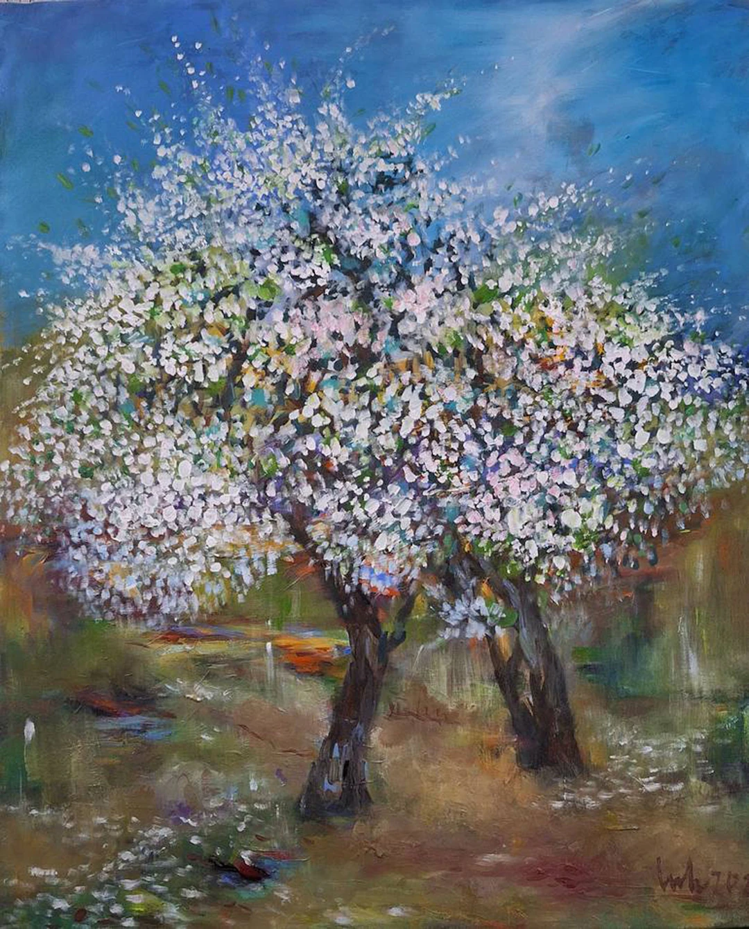 two white cherry trees - LE HAI LINH