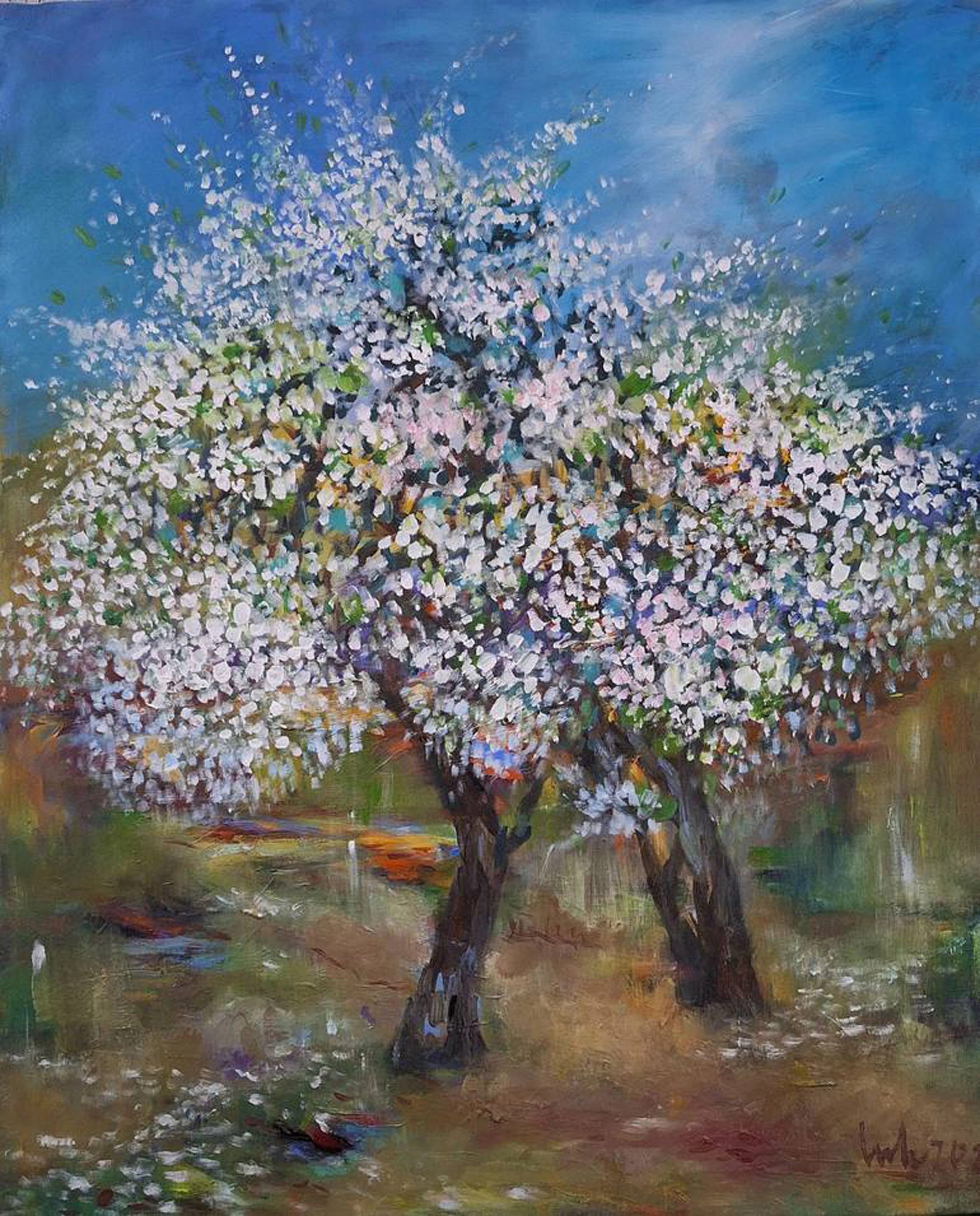 two white cherry trees - LE HAI LINH