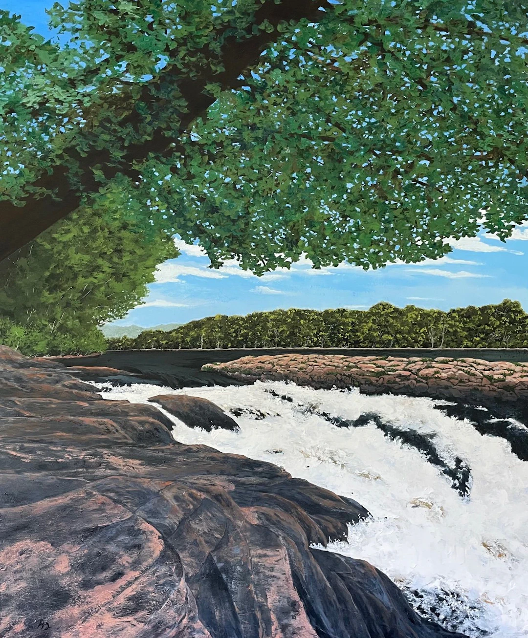 Chutes des Bleuets - Anne Shaughnessy