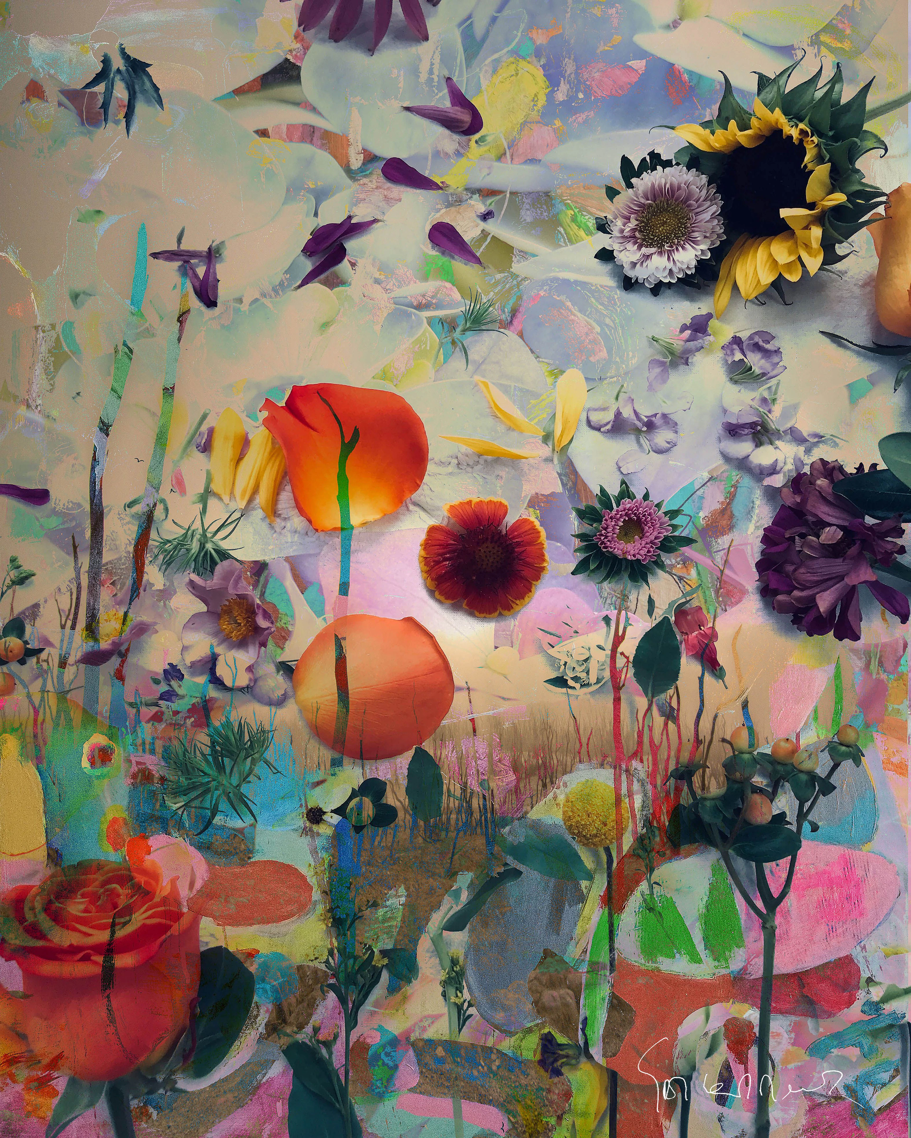 High summer colors 40 - geert lemmers