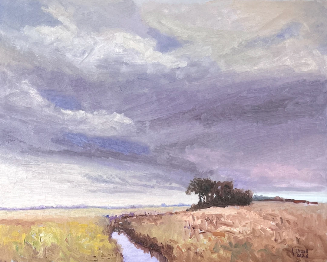 Under a Vast Sky - Gary Westall