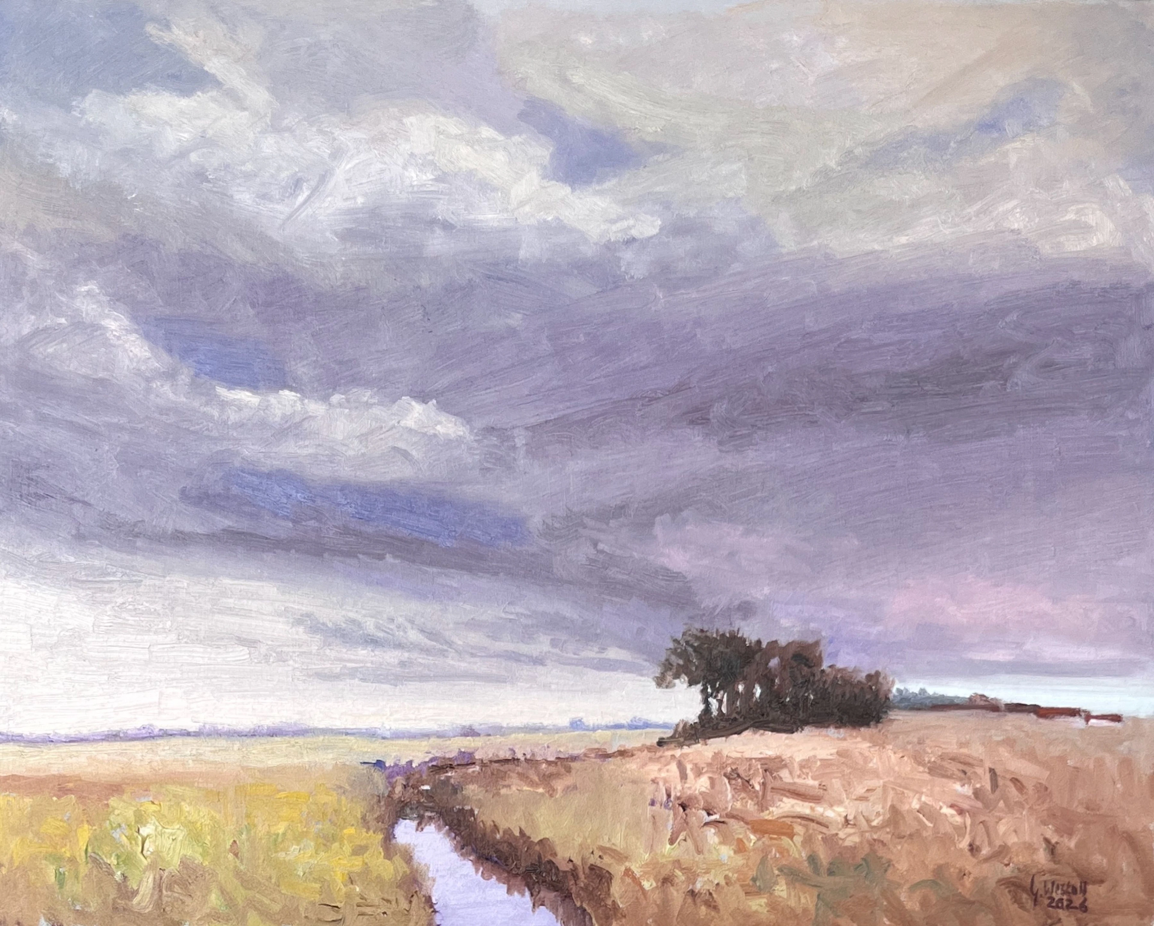 Under a Vast Sky - Gary Westall
